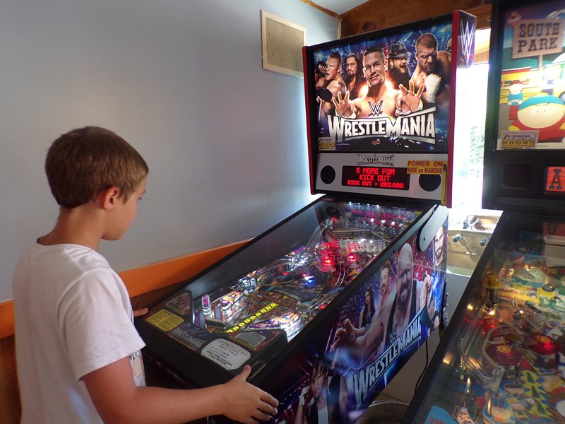flipper  jeux vidéos
