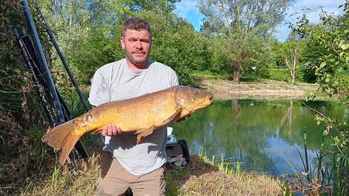 etang et carpe